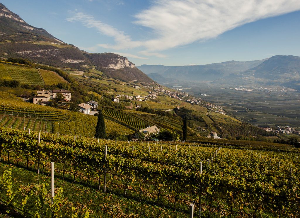 FLEIN_KURTATSCH_Header_Ausblick