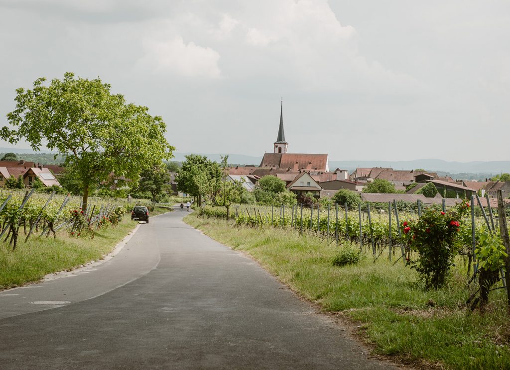 FLEIN_SCHMIDT_Header_Ort