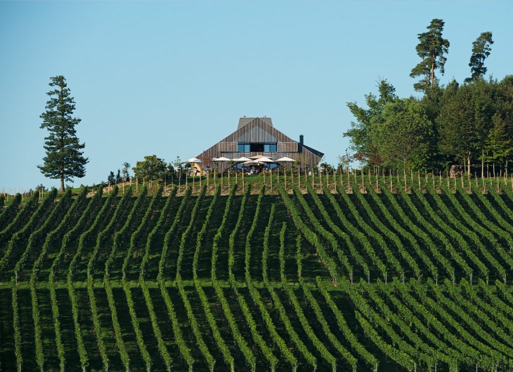 FLEIN_SCHMIDT_Header_Weinschmiede